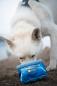 Preview: Ruffwear Quencher Bowl Coastal Mountains